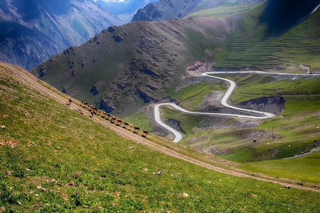 Төө-Ашууда акы алына турган узундугу 11.5 чакырым болгон тоннель салынат