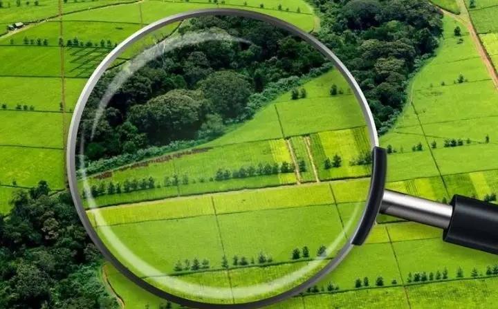 Land Amnesty Commission continues its work in Bishkek