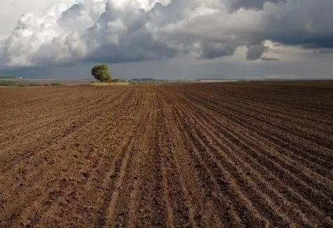 В стране более 1.2 млн гектаров пашни, из них 800 тысяч гектаров орошаемые земли