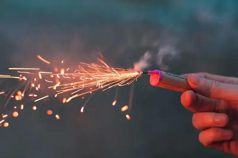 Минприроды призывает госорганы отказаться от новогодних салютов