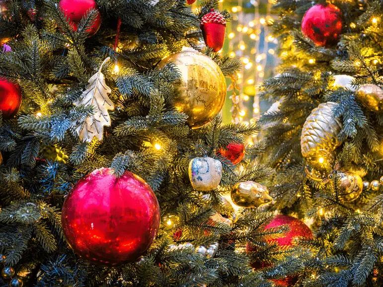 Новогодние каникулы для кыргызстанцев предлагают продлить до 12 января