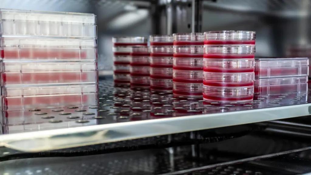 Для ветеринарной службы закупили холодильное оборудование для хранения биоматериалов