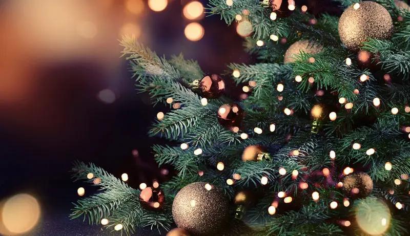 Президент пригласил на елку мальчика, который через снежные сугробы добирался на учебу