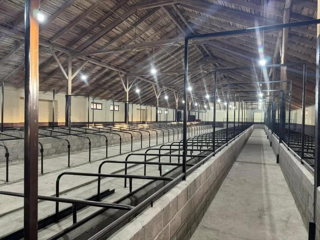 Ак-Талаа районунда заманбап мал бордоо жана мал союу комплекси ачылды