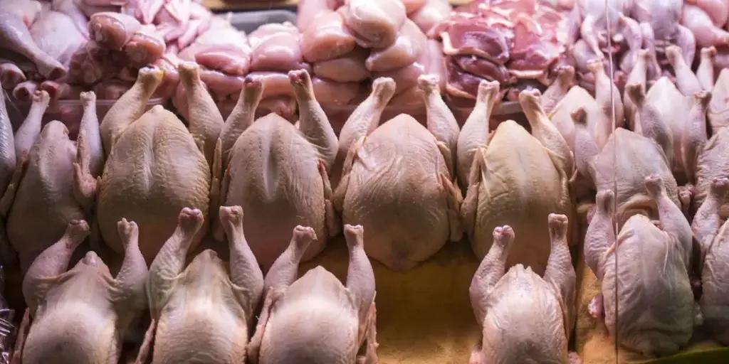 Өзбекстандан импорттолгон канаттуулардын этинен антибиотик табылып, артка жөнөтүлдү