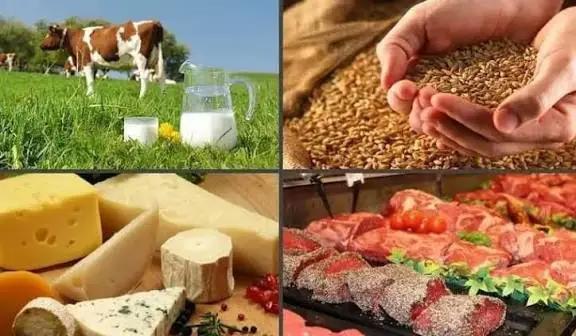 Чуйская область — лидер по выпуску аграрной продукции