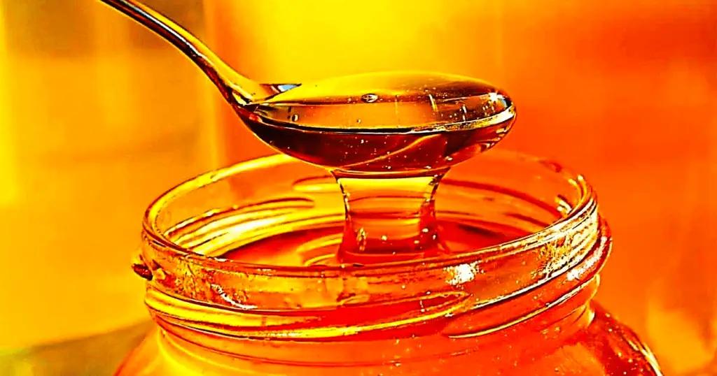 Былтыр 11 айда чет жакка 361.3 тонна бал экспорттолду