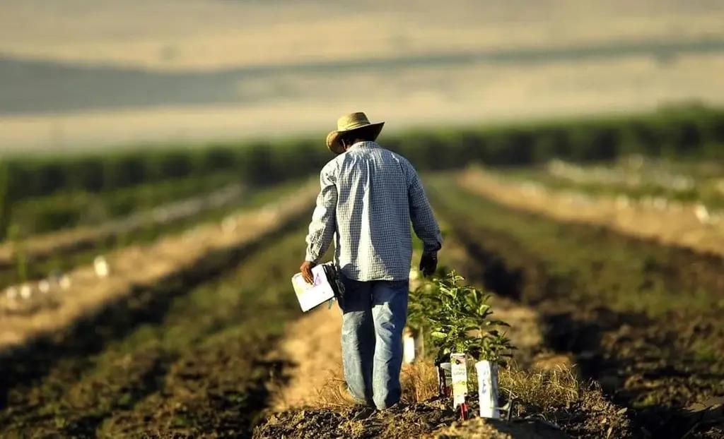 В республике функционируют 26 центров обслуживания фермеров