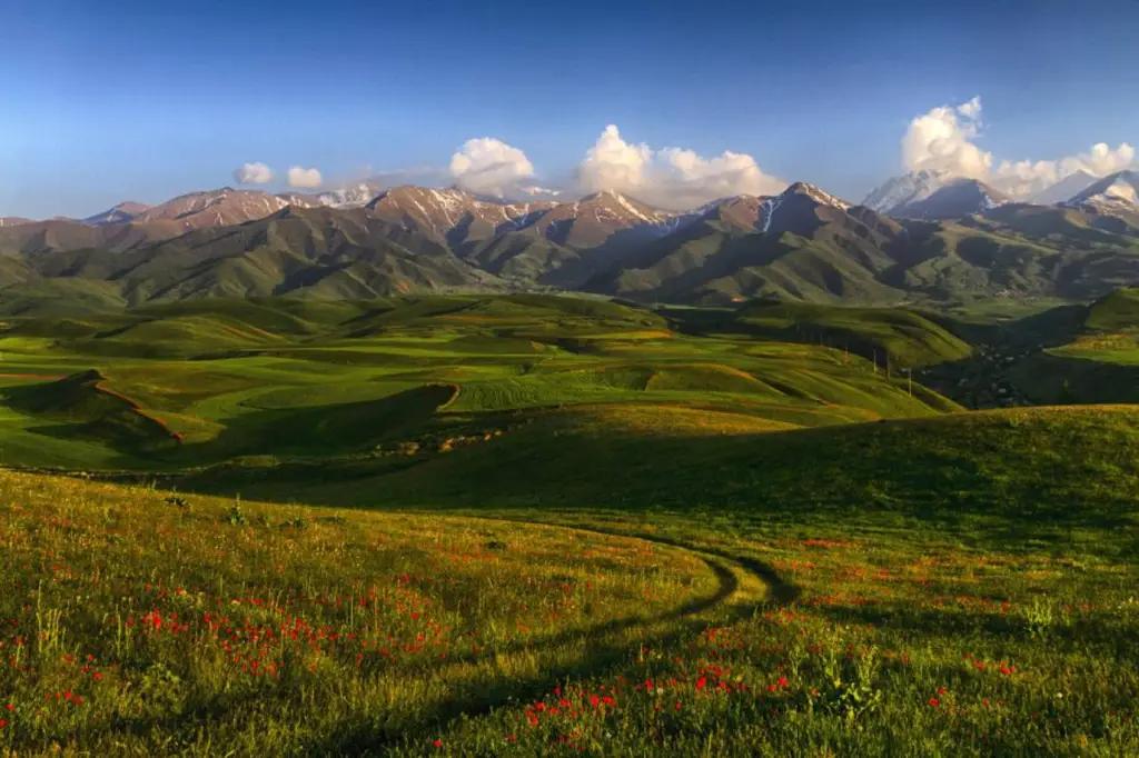 В стране увеличиваются популяции диких животных, занесенных в Красную книгу