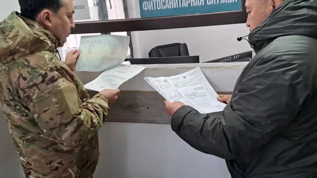 ЕАЭБ талаптарына жооп бербеген жүктөр Кыргызстанга киргизилбейт