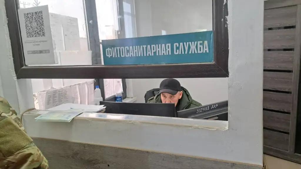 Грузы, не соответствующие требованиям ЕАЭС, не будут допущены на территорию страны