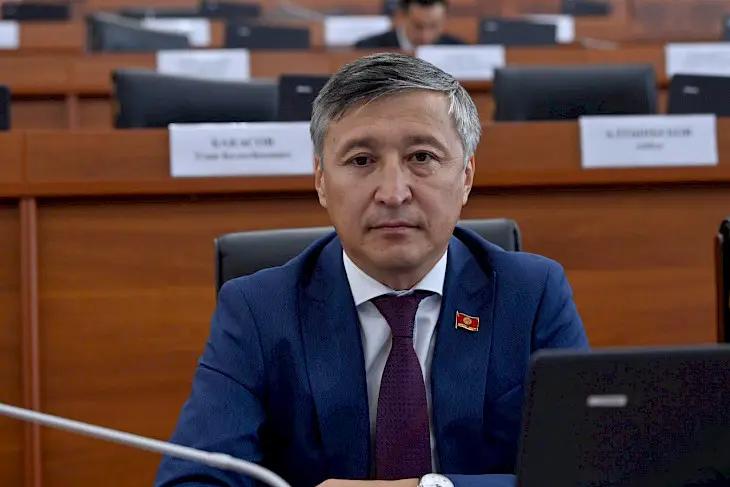 Депутат бийик тоолуу аймактар үчүн электр энергиясына өзгөчө режим киргизүүнү сунуштады