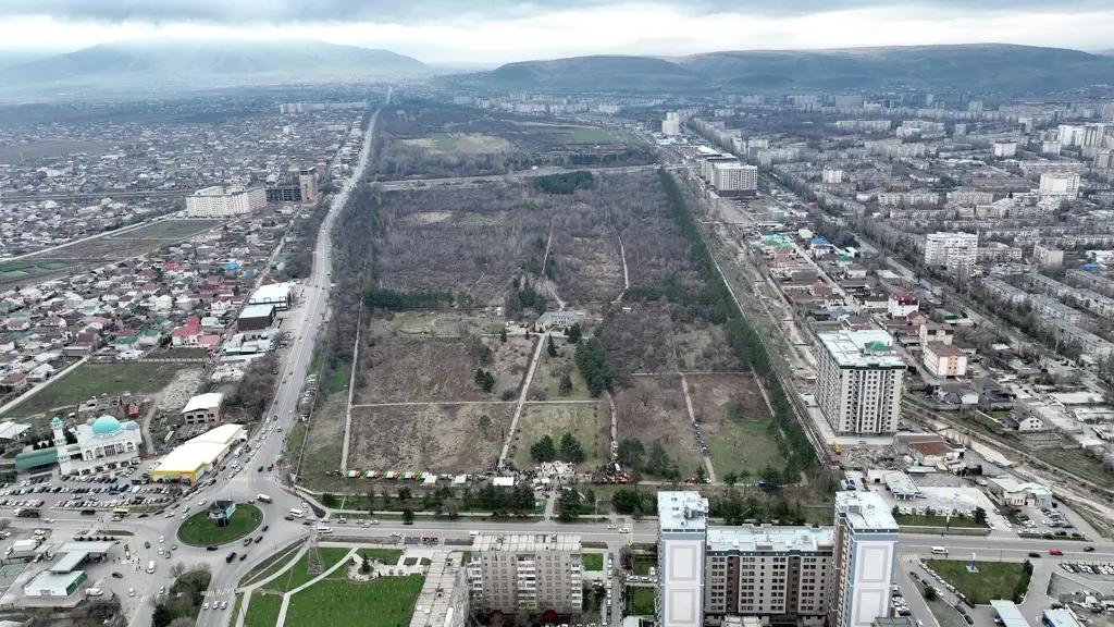 Деньги от аренды футбольного поля в Ботаническом саду пойдут на его содержание