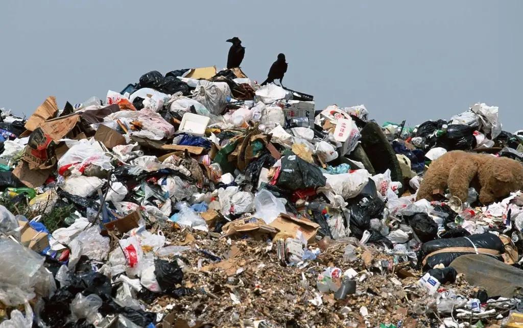 Еврокредит ушел в мусор. ГКНБ задержал экс-вице-мэра Бишкека и других причастных