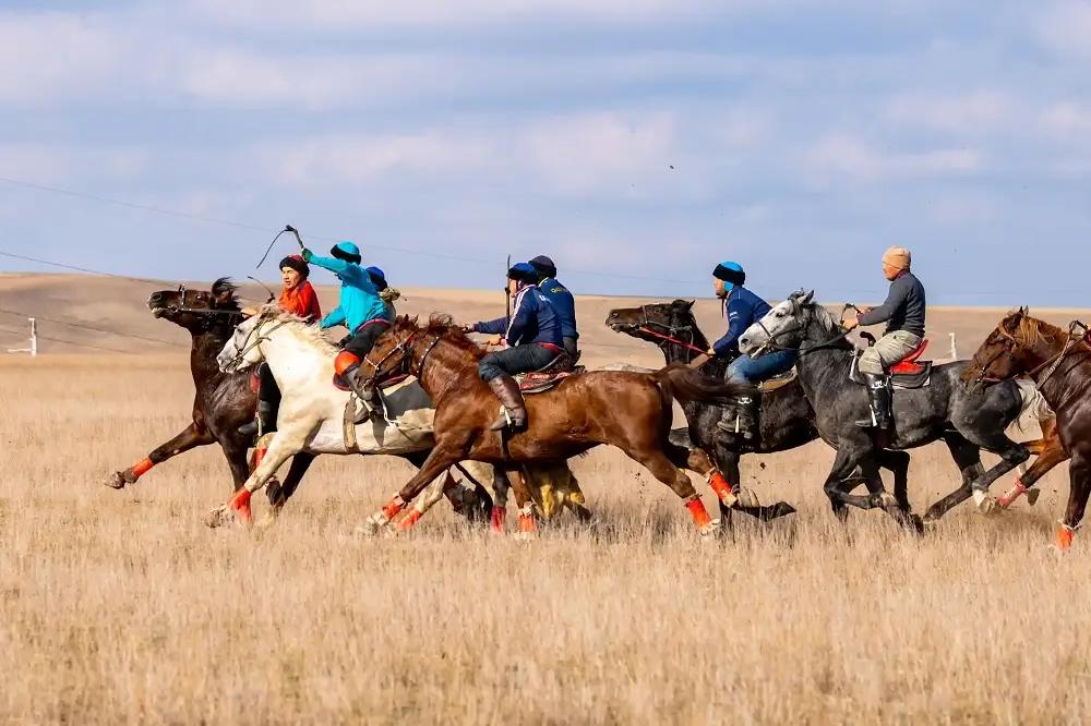 Как будет распределен призовой фонд на ВИК — организаторы