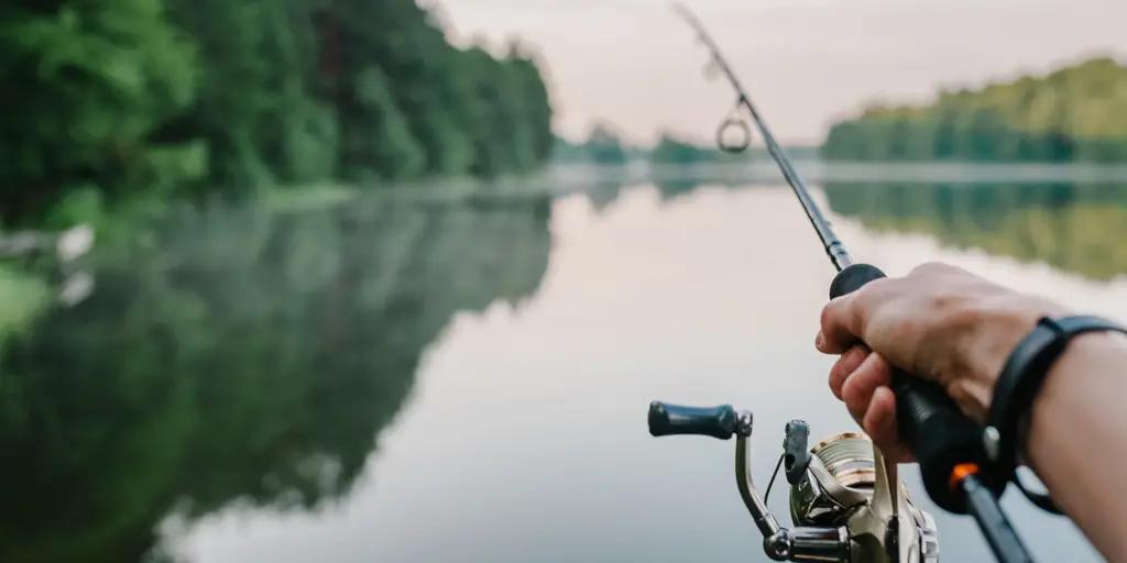 В Кыргызстане внедрены цифровые системы в сфере рыбного хозяйства