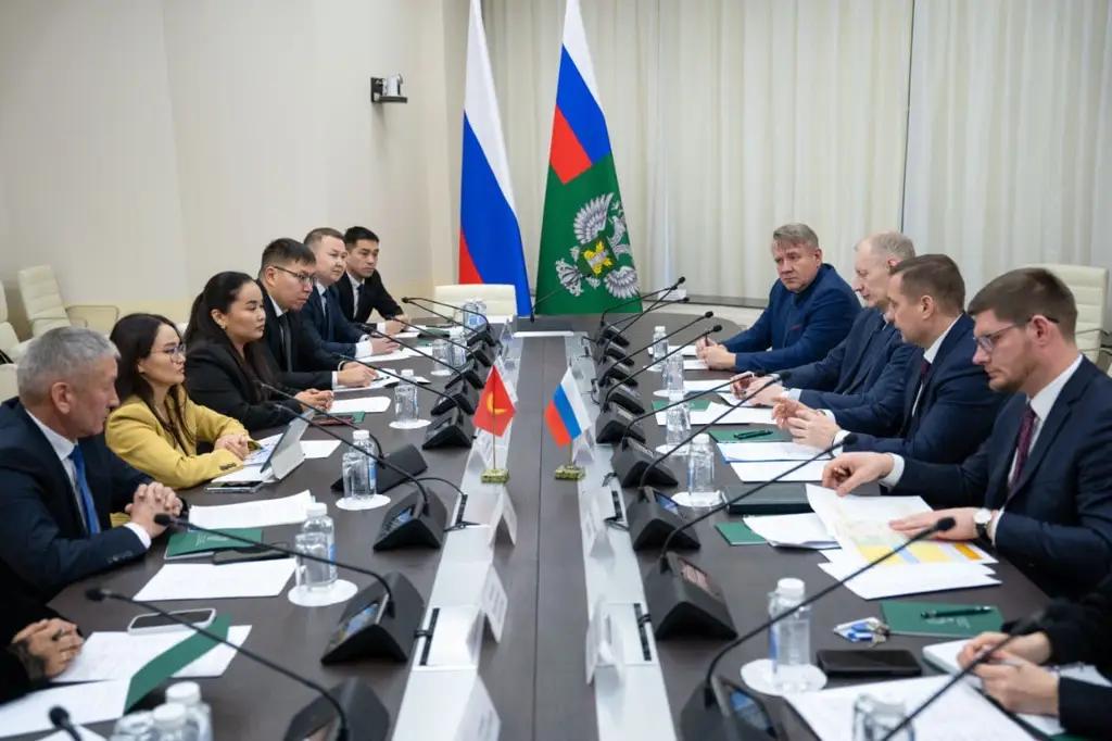 Кыргызстан хочет перенять опыт цифровых решений в сфере ветконтроля России