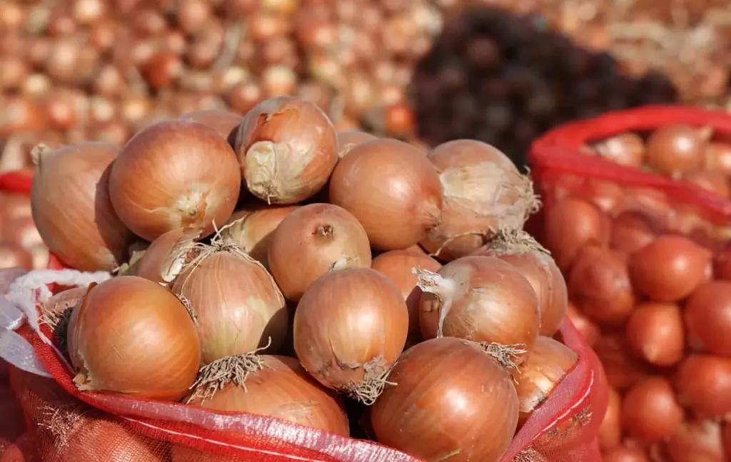 Almost 27 tons of onions from Uzbekistan were not allowed to cross the state border