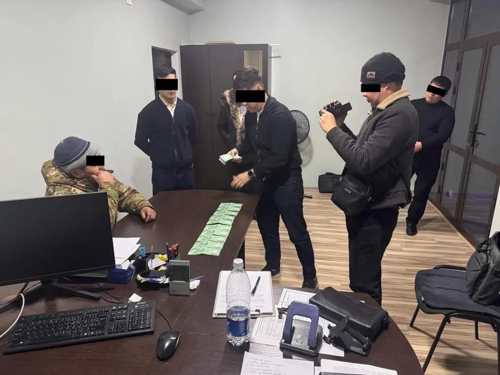 Коррупционная схема с распределением земель раскрыта в Таласской области