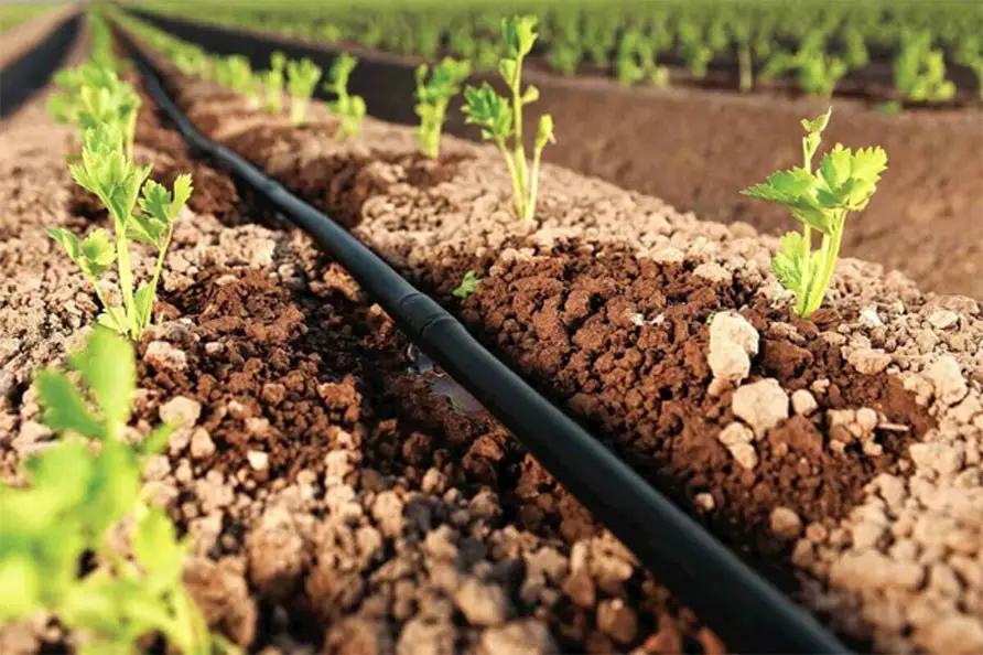Construction work has begun in the Batken district to install a drip irrigation system