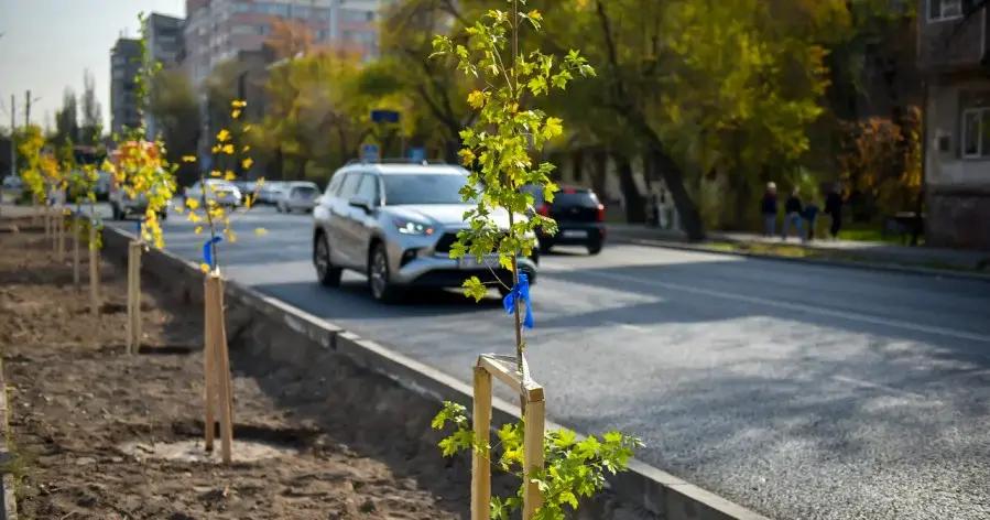 Быйыл Бишкекке 50 миң көчөт отургузулат