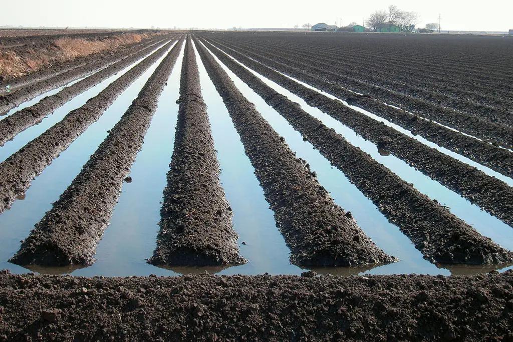 В Аксыйском районе решают проблемы с орошением