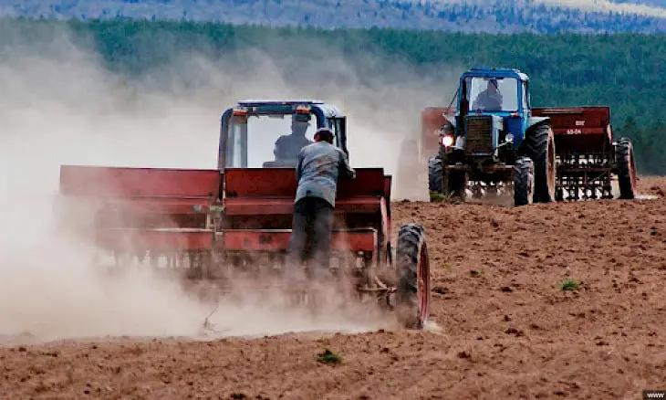 Быйыл айыл чарбасын каржылоого 42 млрд сомдон ашуун каражат бөлүнөт