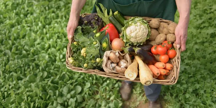 National Organic Agriculture Day approved in Kyrgyzstan