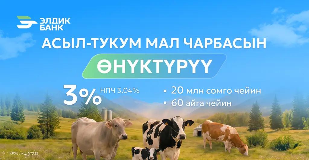Элдик Банктан 3% менен асыл тукум мал чарбасын колдоо!