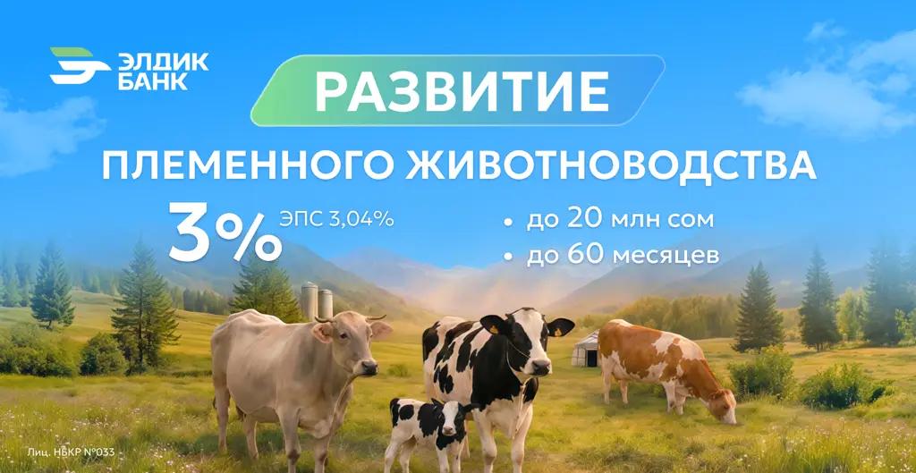 Поддержка племенного животноводства под 3% от «Элдик Банка»!
