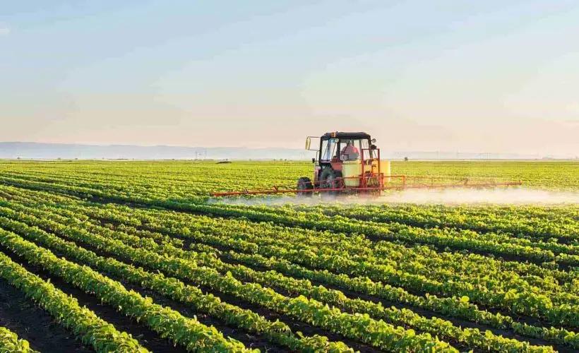 Agriculture accounts for 10% of GDP — Erlist Akunbekov