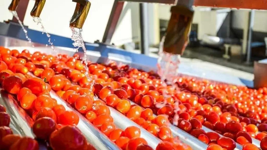 Быйыл өлкөдө 75 кайра иштетүү ишканасы ачылат