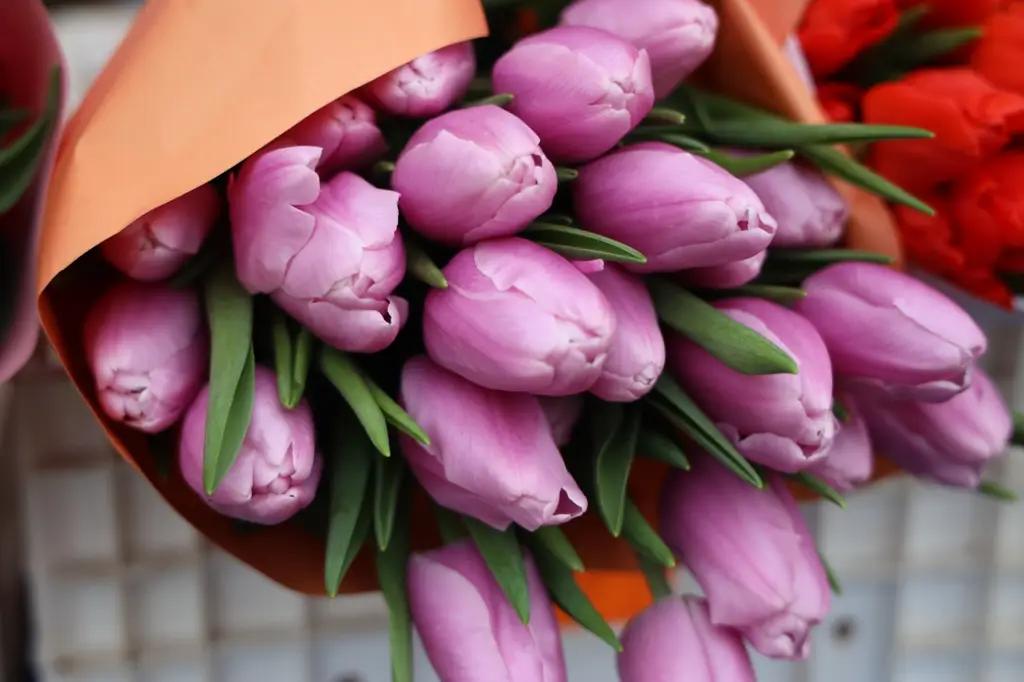 Жыл башынан бери 17 тонна гүл экспорттолду