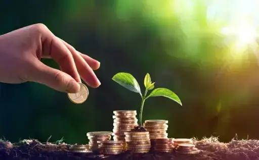 В Кыргызстане запускается цифровая система «Дотация» для поддержки фермеров