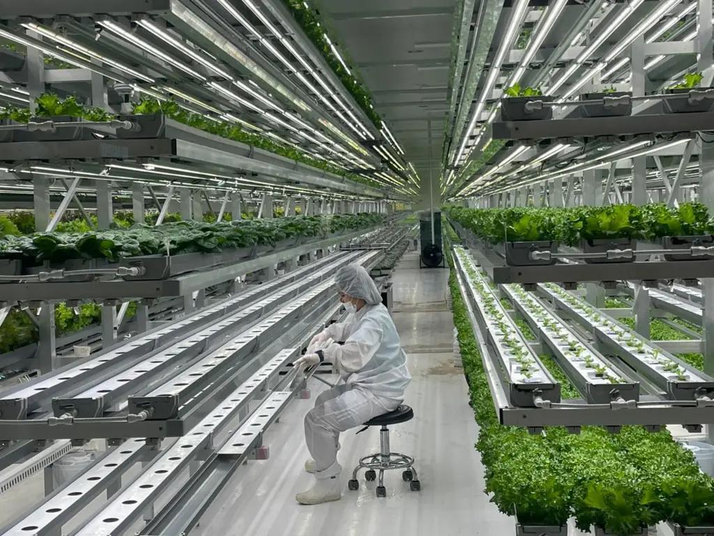 Кыргызстан перенимает корейский опыт цифровизации сельского хозяйства