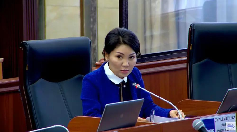 Депутат: УКМК кызматкерлери оокатын алып койгон ишкерлер көп экен