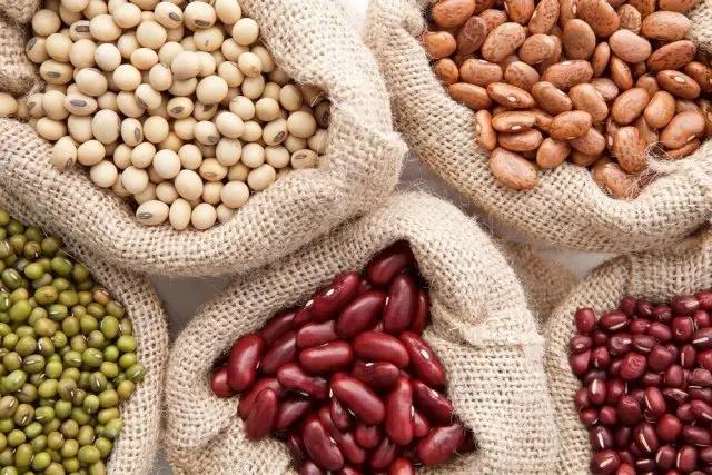 Кыргызстан планирует расширить экспорт фасоли в Турцию