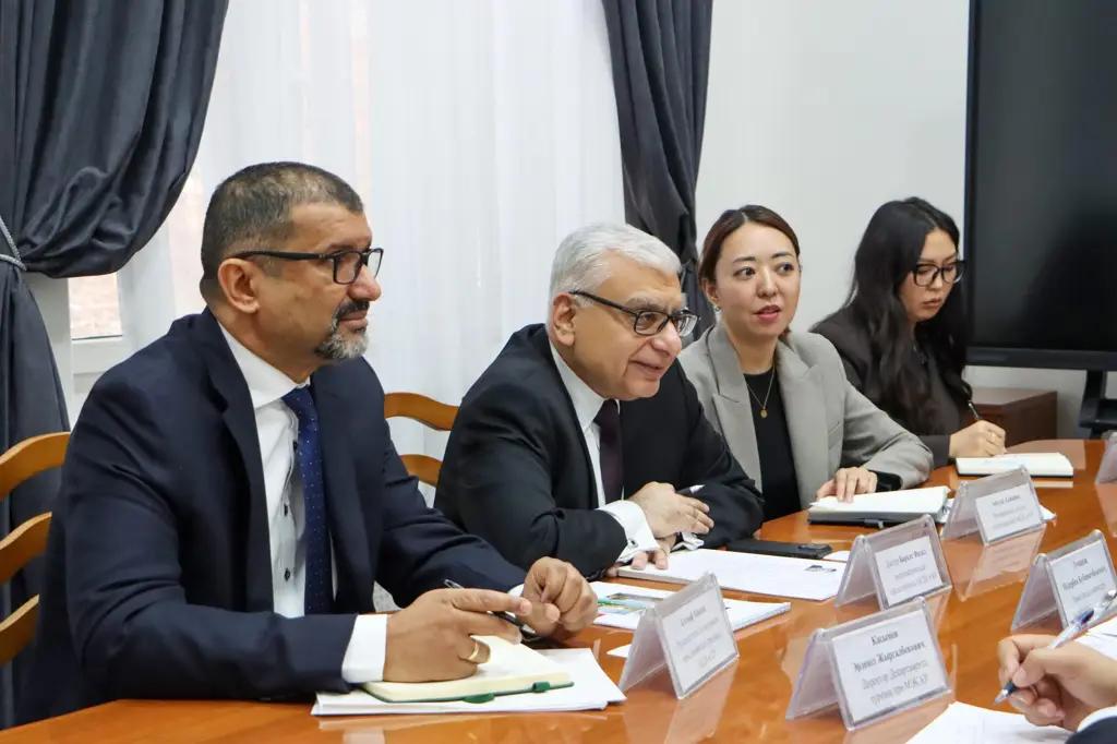 Kyrgyzstan and the Aga Khan Development Network discussed cooperation on infrastructure projects