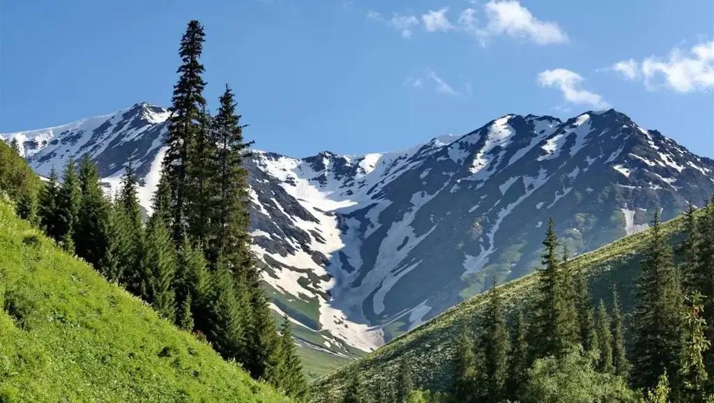 Кыргызстандын жаратылыш парктары 37.7 млн сом киреше тапты