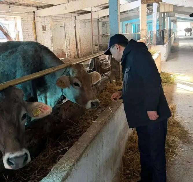 Фермерские хозяйства развивают агросектор в регионах