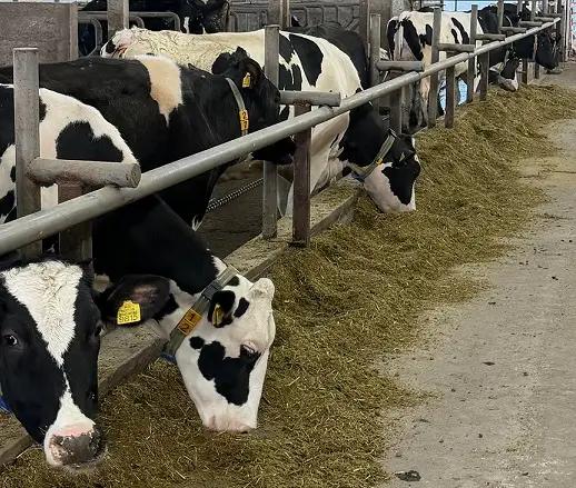 Министру рассказали о современных технологиях на племенной ферме