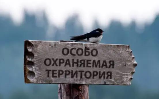 В Кыргызстане выявили 139 нарушений на особо охраняемых природных территориях