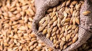 В Ак-Сууйском районе фермерам передали 40 тонн семян ячменя и 20 тонн семян пшеницы