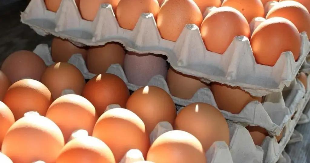 Бишкекте жумуртканын баасы арзандады