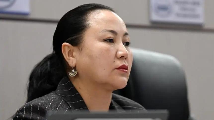 Депутат такси кызматына чет элдик жарандар үчүн тил талабы коюуну сунуштады