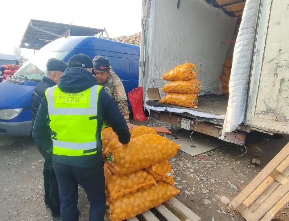 Бишкек жана Ош шаарларында картошка рыногуна мониторинг жүргүзүлдү