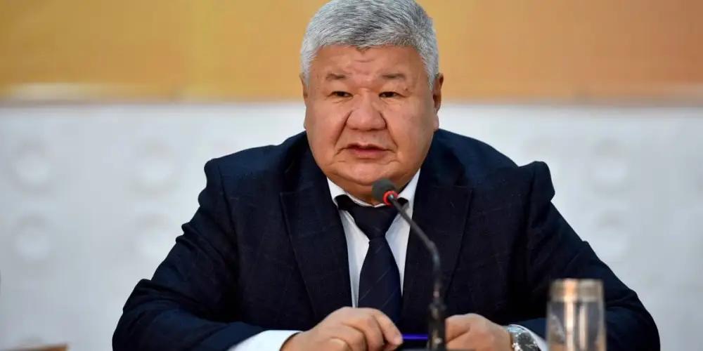 Ибраев на энергетическом саммите в Индии заявил о ключевом риске для энергосистем с ВИЭ