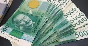 The Ministry of Finance has acquired a 9.5% stake in NES Kyrgyzstan for 7.7 billion KGS