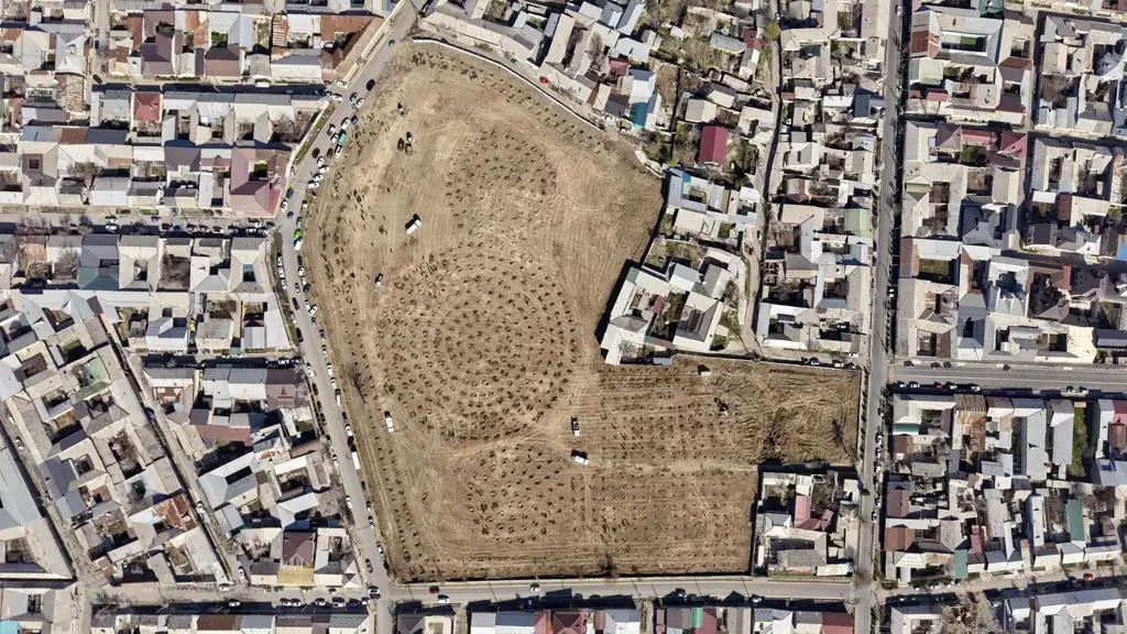 В Оше создан новый зеленый участок: за день посажено 1.3 тысячи саженцев