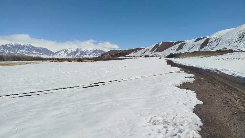 В Нарынской области 2 гектара пастбищ были незаконно приватизированы